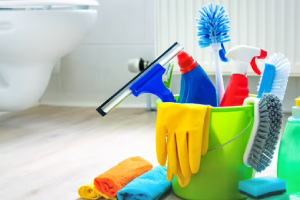 Messie Reinigung Gotha