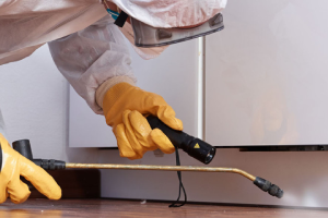 Messie Schädlingsbekämpfung Gotha